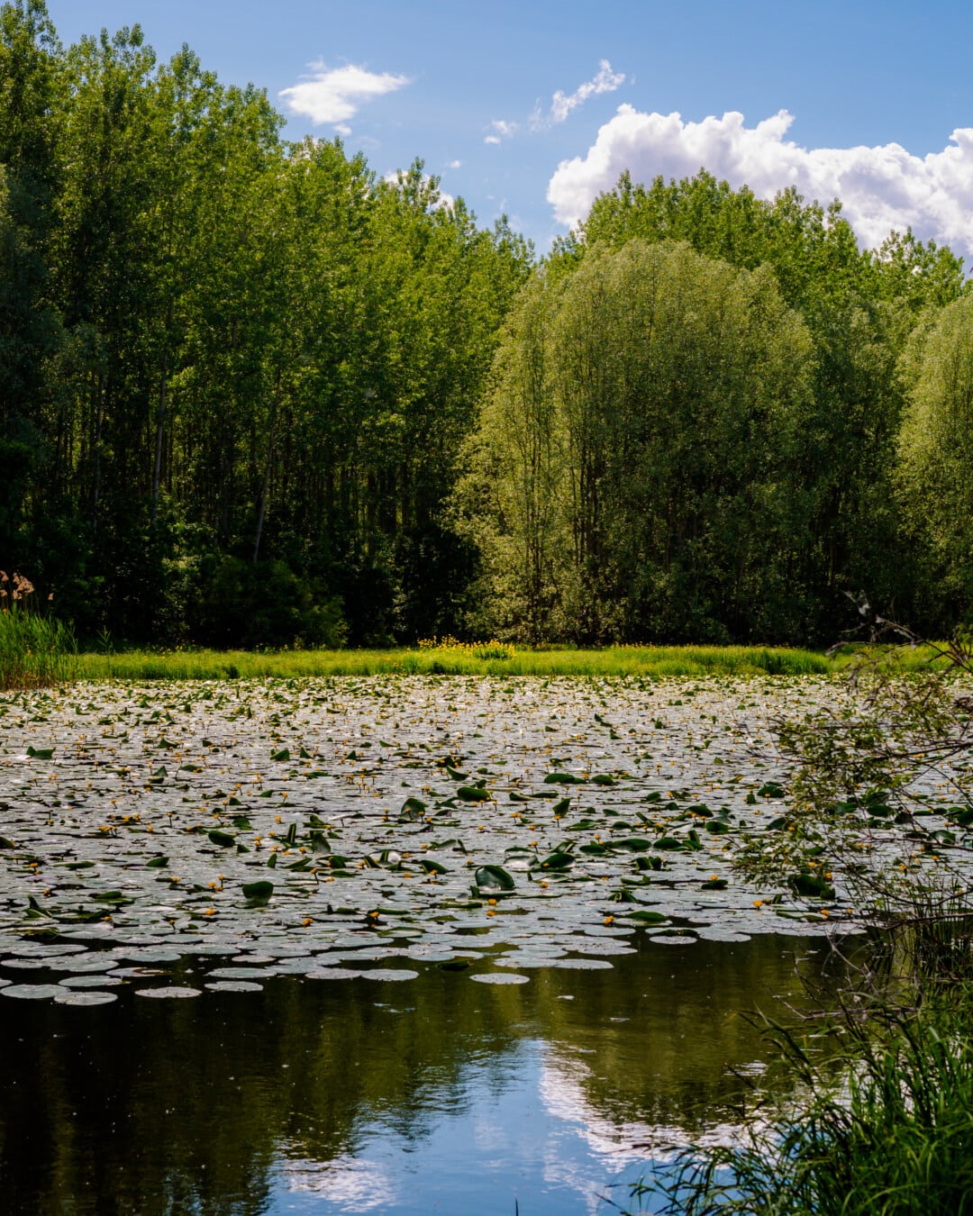 2021-07-23-08-45-21-1080x1350